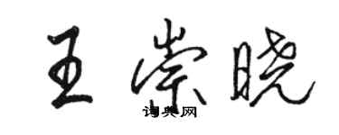 骆恒光王崇晓行书个性签名怎么写