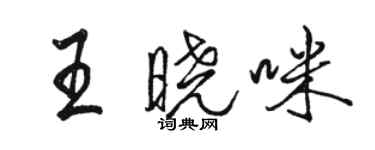 骆恒光王晓咪行书个性签名怎么写