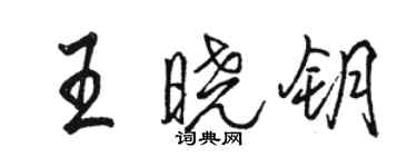 骆恒光王晓钥行书个性签名怎么写