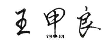 骆恒光王甲良行书个性签名怎么写
