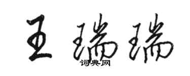 骆恒光王瑞瑞行书个性签名怎么写