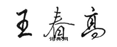 骆恒光王春高行书个性签名怎么写