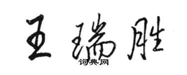 骆恒光王瑞胜行书个性签名怎么写