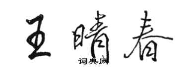 骆恒光王晴春行书个性签名怎么写