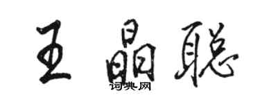 骆恒光王晶聪行书个性签名怎么写