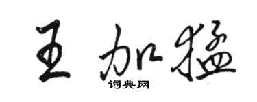 骆恒光王加猛行书个性签名怎么写