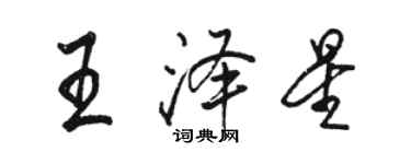骆恒光王泽星行书个性签名怎么写