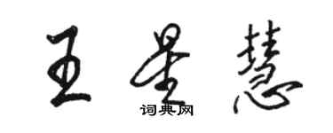 骆恒光王星慧行书个性签名怎么写