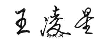 骆恒光王凌星行书个性签名怎么写