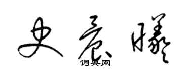 梁锦英史晨曦草书个性签名怎么写