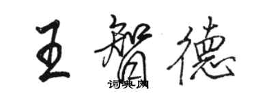 骆恒光王智德行书个性签名怎么写