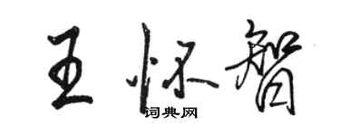 骆恒光王怀智行书个性签名怎么写