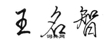 骆恒光王名智行书个性签名怎么写