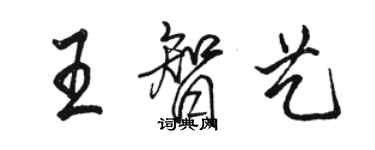 骆恒光王智艺行书个性签名怎么写