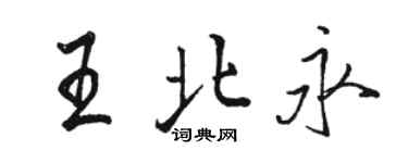 骆恒光王北永行书个性签名怎么写