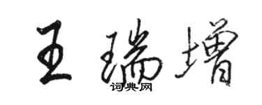 骆恒光王瑞增行书个性签名怎么写