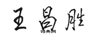 骆恒光王昌胜行书个性签名怎么写
