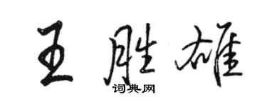 骆恒光王胜雄行书个性签名怎么写