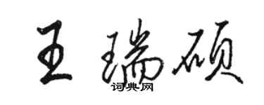 骆恒光王瑞硕行书个性签名怎么写