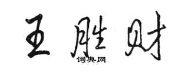 骆恒光王胜财行书个性签名怎么写