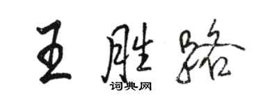 骆恒光王胜路行书个性签名怎么写