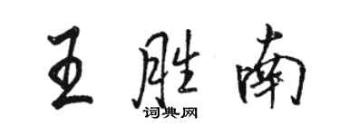 骆恒光王胜南行书个性签名怎么写