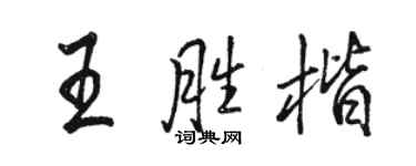 骆恒光王胜楷行书个性签名怎么写