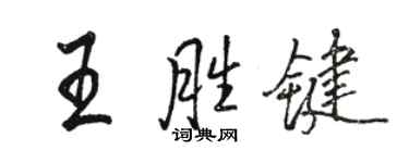 骆恒光王胜键行书个性签名怎么写