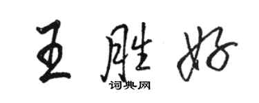 骆恒光王胜好行书个性签名怎么写