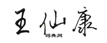 骆恒光王仙康行书个性签名怎么写