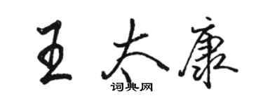 骆恒光王太康行书个性签名怎么写