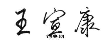 骆恒光王宣康行书个性签名怎么写