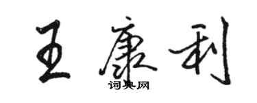 骆恒光王康利行书个性签名怎么写