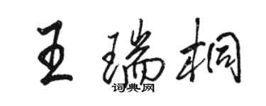 骆恒光王瑞桐行书个性签名怎么写