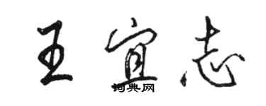 骆恒光王宜志行书个性签名怎么写
