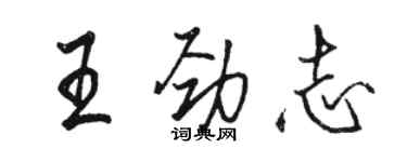骆恒光王劲志行书个性签名怎么写