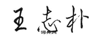 骆恒光王志朴行书个性签名怎么写