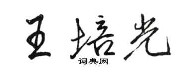 骆恒光王培光行书个性签名怎么写