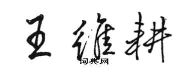 骆恒光王维耕行书个性签名怎么写