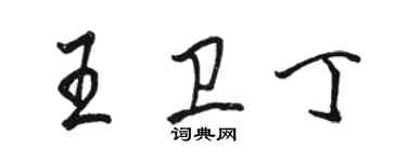 骆恒光王卫丁行书个性签名怎么写