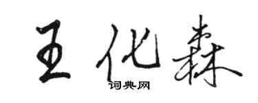 骆恒光王化森行书个性签名怎么写