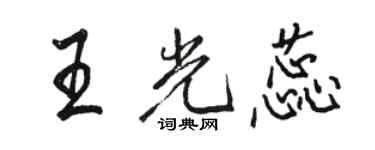 骆恒光王光蕊行书个性签名怎么写