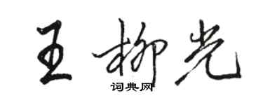 骆恒光王柳光行书个性签名怎么写