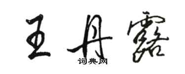 骆恒光王丹露行书个性签名怎么写