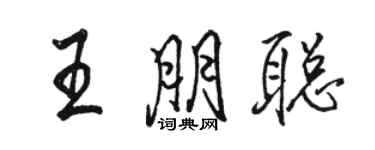 骆恒光王朋聪行书个性签名怎么写