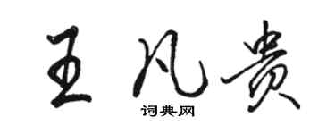 骆恒光王凡贵行书个性签名怎么写