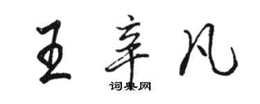 骆恒光王辛凡行书个性签名怎么写
