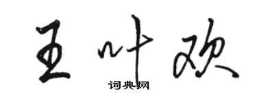骆恒光王叶欢行书个性签名怎么写