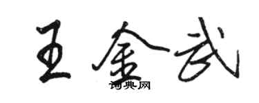 骆恒光王金武行书个性签名怎么写
