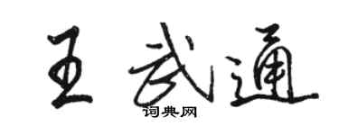 骆恒光王武通行书个性签名怎么写